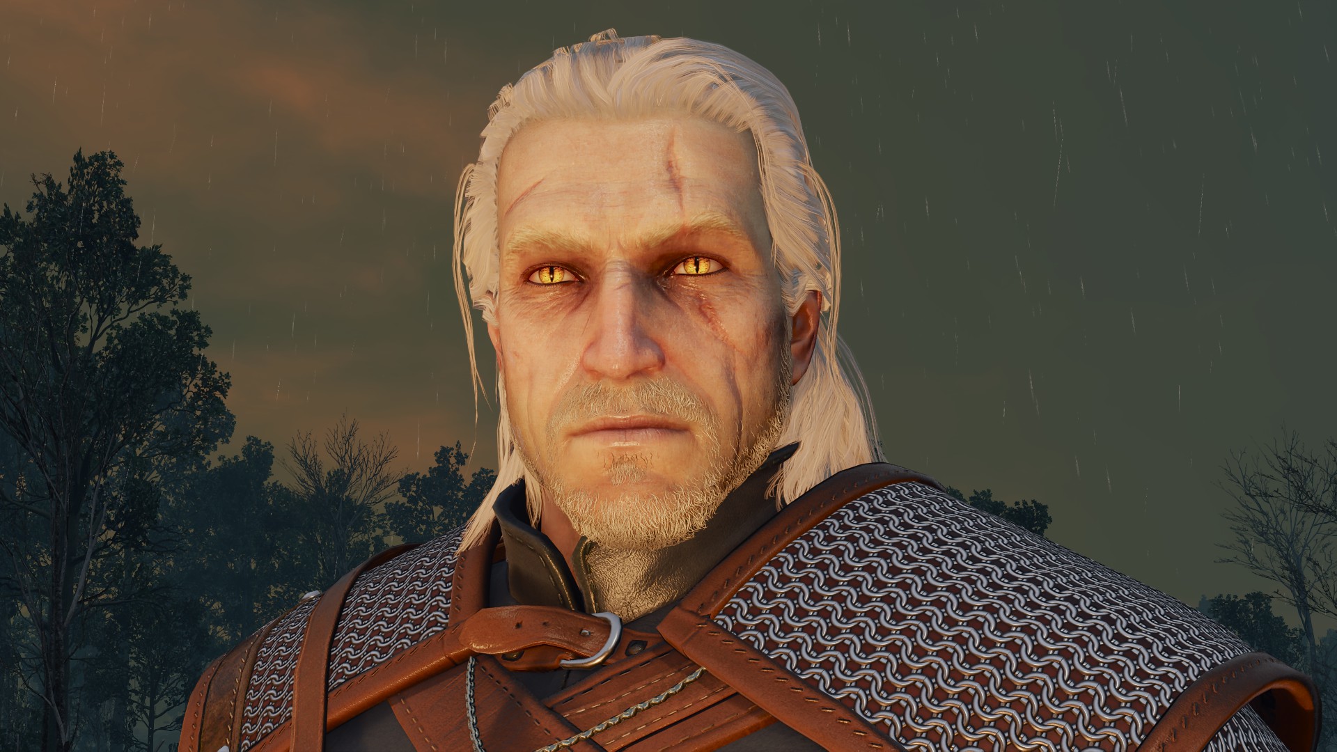 Close no rosto pálido do Geralt